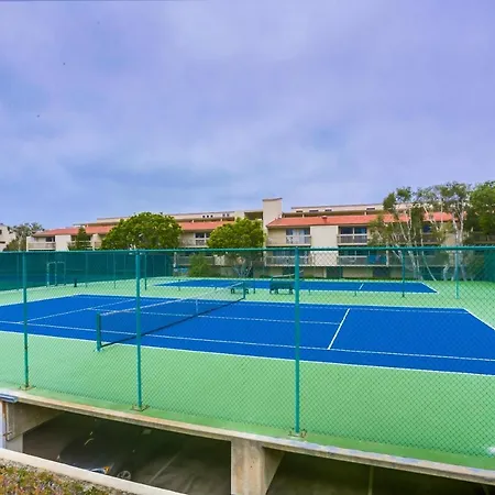 Beach Access Oceanview Sbtc331 Condo